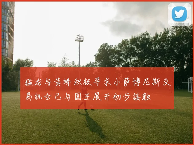 猛龙与黄蜂积极寻求小萨博尼斯交易机会已与国王展开初步接触