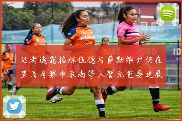 记者透露格林伍德与萨默维尔仍在罗马考察中派尚等人暂无重要进展消息