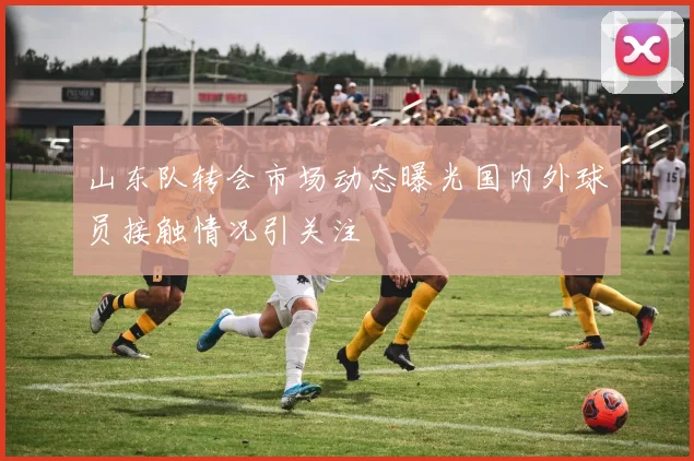 山东队转会市场动态曝光国内外球员接触情况引关注